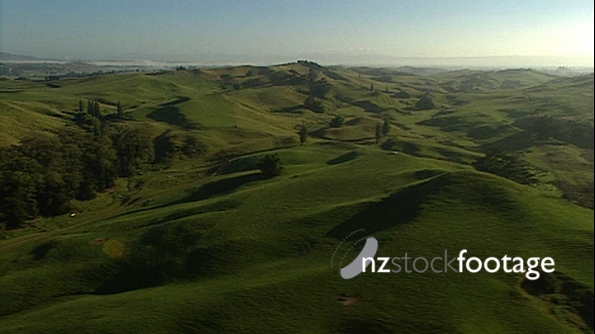 Waikato Farmland 2 148